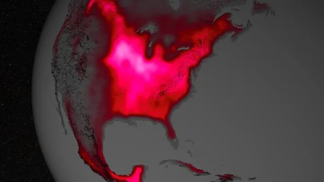 A visualization of the glow over North America represents fluorescence measured from land plants in early July, over a period from 2007 to 2011 in this picture provided by NASA on March 31, 2014. Data from satellite sensors show that during the North American northern hemisphere's growing season, the midwest region of the United States boasts more photosynthetic activity than any other spot on Earth, according to NASA and university scientists. (Photo by Reuters/Goddard Space Flight Center/NASA)