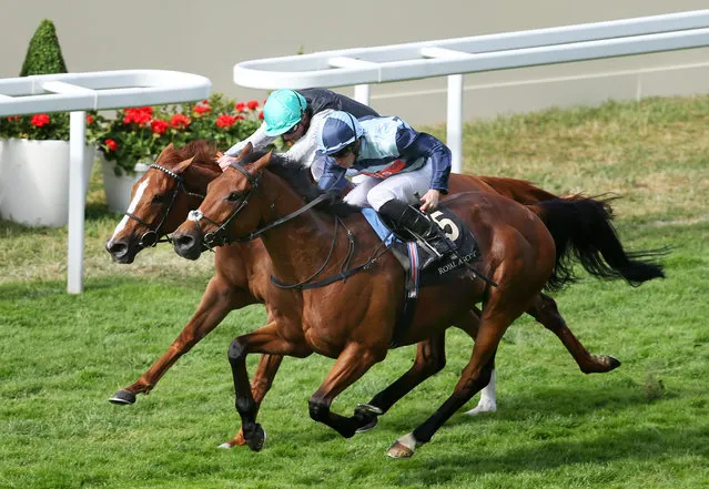 Horse Racing - Royal Ascot - Ascot Racecourse - 17/6/15
GM Hopkins ridden by Ryan Moore (R) winning the 17:00 
 Royal Hunt Cup
Action Images via Reuters / Matthew Childs
Livepic
