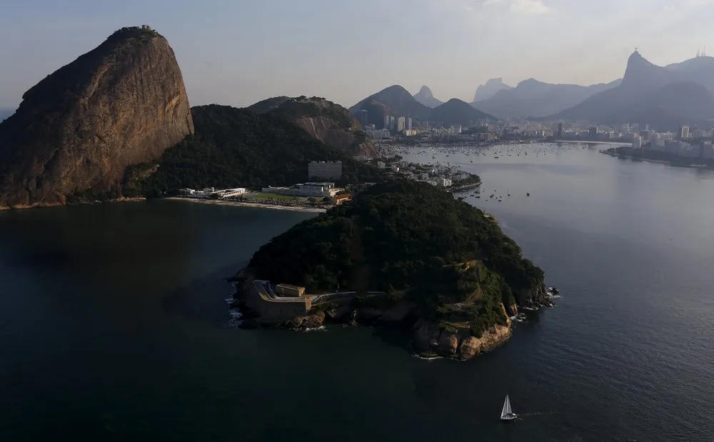 Life in Guanabara Bay
