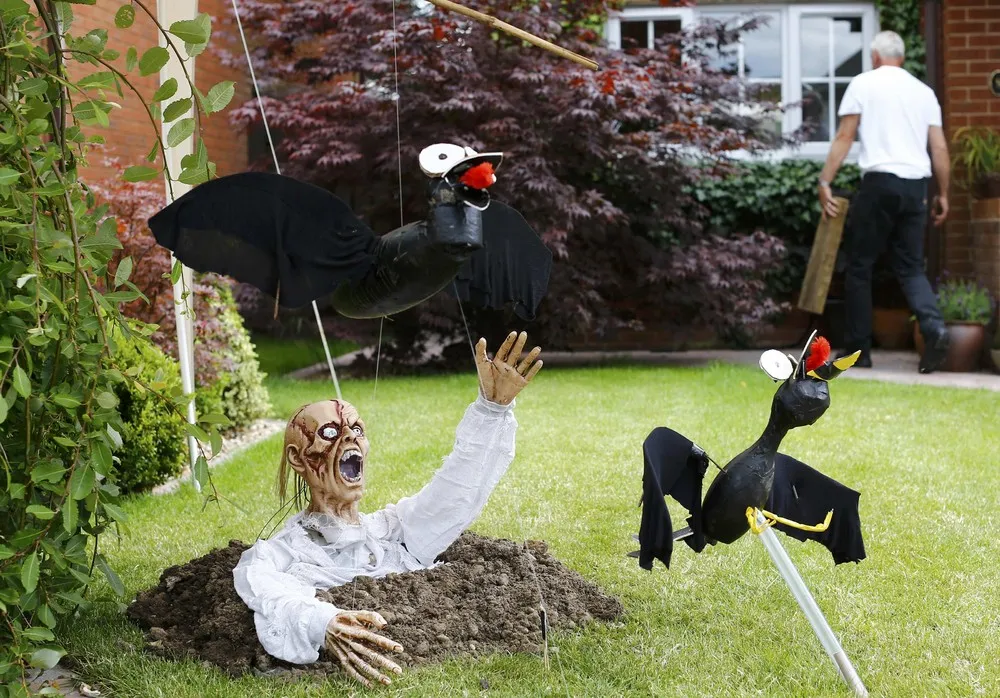 Town of Scarecrows