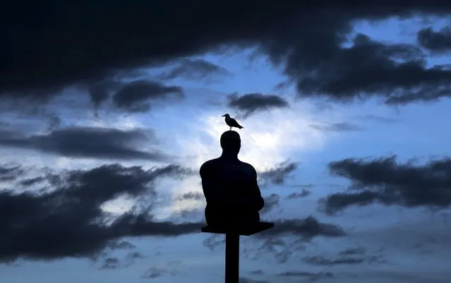 A seagull stands on a sculpture by Spanish artist Jaume Plensa at sunset on the place Massena in Nice, July 30, 2015. (Photo by Eric Gaillard/Reuters)