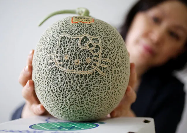 Hello Kitty face grown on a melon, which is produced in Hokkaido, is pictured at the Sanrio Co headquarters in Tokyo, Japan June 23, 2016. (Photo by Toru Hanai/Reuters)