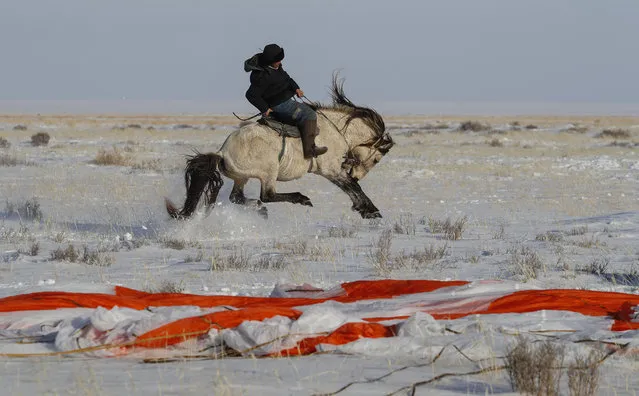 A Kazakh shepherd races on his horse near the place where Russian Soyuz MS-13 space capsule landed about 120 km south-east of the Kazakh town of Zhezkazgan, Kazakhstan, 06 February 2020. A Soyuz space capsule with NASA astronaut Christina Koch, ESA astronaut Luca Parmitano and cosmonaut Alexander Skvortsov of Roscosmos, returning from a mission to the International Space Station, landed safely in the steppes of Kazakhstan. (Photo by Sergei Ilnitsky/EPA/EFE)