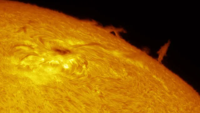 “Our sun”. Runner up: Solar Limb Prominence and Sunspot by Eric Toops (USA) A striking image of a searing solar limb prominence and sunspot on the surface of our star, taken during the spring of 2016. Using Lunt H-alpha filters in a custom-made telescope the photographer was able to bring out the details of the solar activity using high magnification. Several photos were stacked to stabilize the image and the “seeing conditions” (the blurriness of the Earth’s atmosphere). Hoschton, Georgia, USA, 19 April 2016 Home-made telescope, Point Grey GS3-U3-60S6M camera. (Photo by Eric Toops/Insight Astronomy Photographer of the Year 2017)