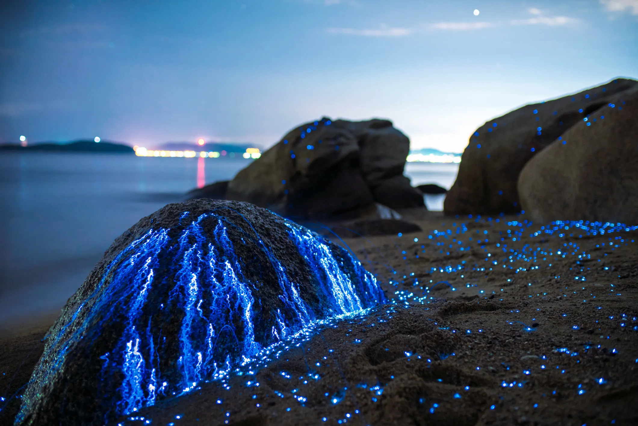 Необыкновенное зрелище. Остров Ваадху. Морская биолюминесценция. Биолюминесцентная бухта Вьекеса. Биолюминесцентные скалы Окаяма.