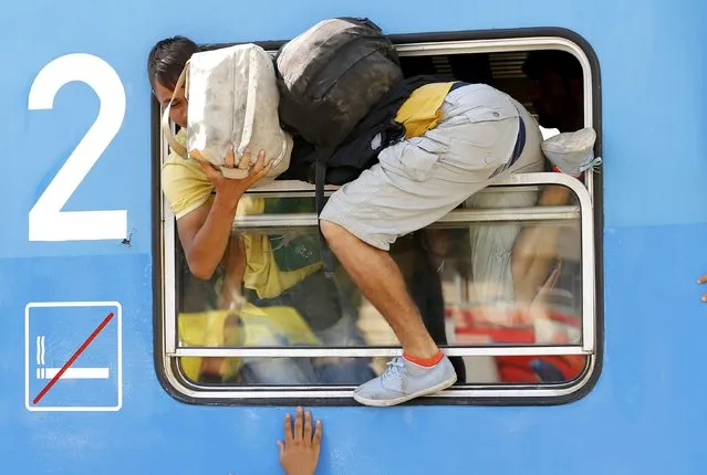 Migrants scramble through a train's window at the station in Beli Manastir, Croatia September 18, 2015. (Photo by Laszlo Balogh/Reuters)