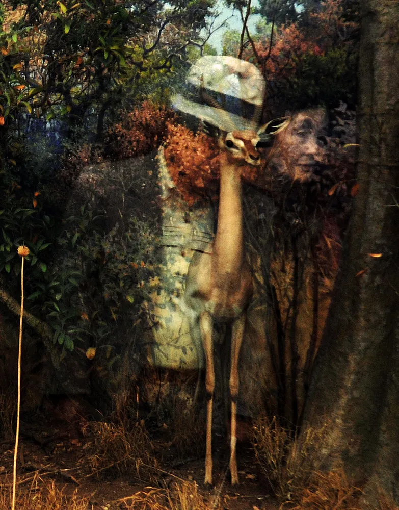 “Natural History” by Traer Scott