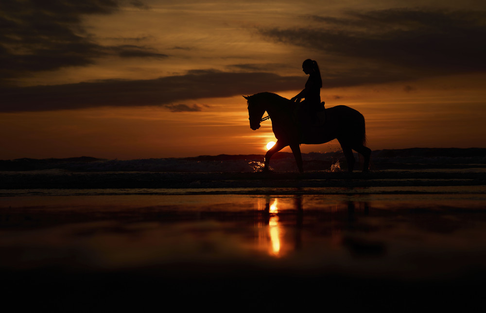 Some Photos: Silhouettes