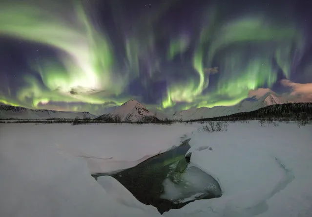 These Northern Lights “rainbows” have turned the sky greener than the Earth below. Vitaly Istomin, 26, spent several nights in freezing conditions under the stars in northern Russia’s Khibiny Mountains to capture the aurora’s “rainbows”. (Photo by Vitaly Istomin/Caters News Agency)