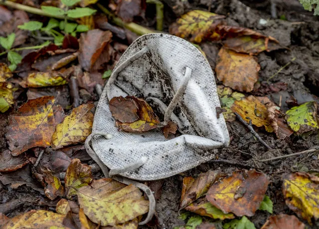 A face mask discarded in a forest in the Taunus region near Frankfurt, Germany, Sunday, October 18, 2020. (Photo by Michael Probst/AP Photo)