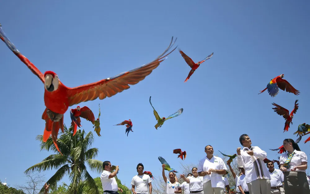 The Week in Pictures: Animals, April 20 – April 26, 2013