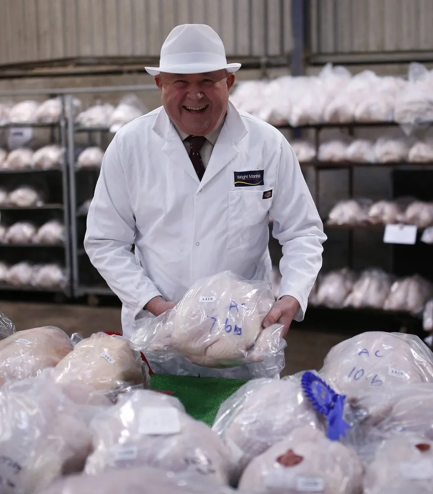 Turkey and Dressed Poultry Auction in England