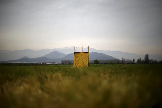 A toilet stands in the middle of an empty field on the outskirts of Santiago, Chile, October 8, 2015. (Photo by Ivan Alvarado/Reuters)