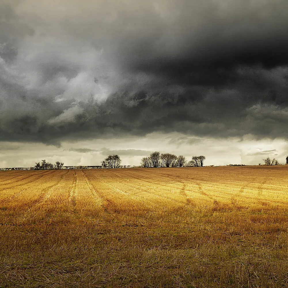 Photographic Art by Eric Goncalves