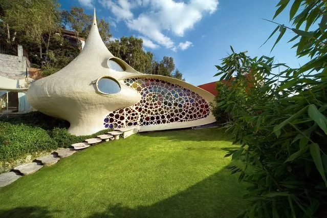 Living In A Shell – Nautilus House