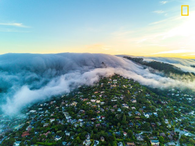 “Fog Taking Over a Town During Sunset”. “I decided to take a cross-country trip by myself, and it was one of the most amazing experiences I have had. Seeing our country and how much it has to offer was magical. This was Sausalito, Calif., being overwhelmed by fog. It was amazing to watch from above. This was taken with a drone”. (Photo by Ricky Batista /National Geographic Travel Photographer of the Year Contest)