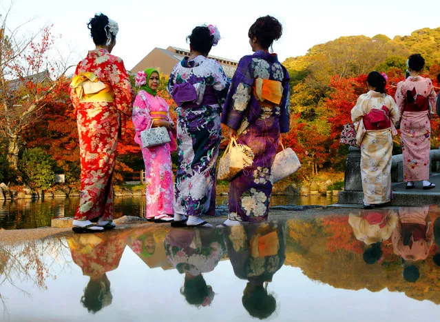 Tourists, dressed in traditional Japanese kimonos, stand in a park in Kyoto, western Japan November 19, 2014. (Photo by Thomas Peter/Reuters)