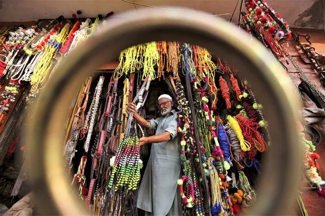 A man looks at ornaments for sacrificial animals, that are on sale at a roadside shop ahead of the Muslim festival of Eid al-Adha in Peshawar, Pakistan, 20 June 2023. Eid al-Adha is one of the holiest Muslims holidays of the year and it marks the end of the annual Muslim pilgrimage, known as Hajj, to Mecca. During Eid al-Adha Muslims will slaughter an animal and split the meat into three parts: one for family, one for friends and relatives, and one for the poor and needy. (Photo by Bilawal Arbab/EPA/EFE)