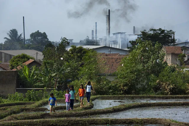 Children walk through a rice paddy overlooking the dozens of textile mills which have been using the Citarum River to dump their waste water on August 28, 2018 outside Majalaya, Java, Indonesia. (Photo by Ed Wray/Getty Images)