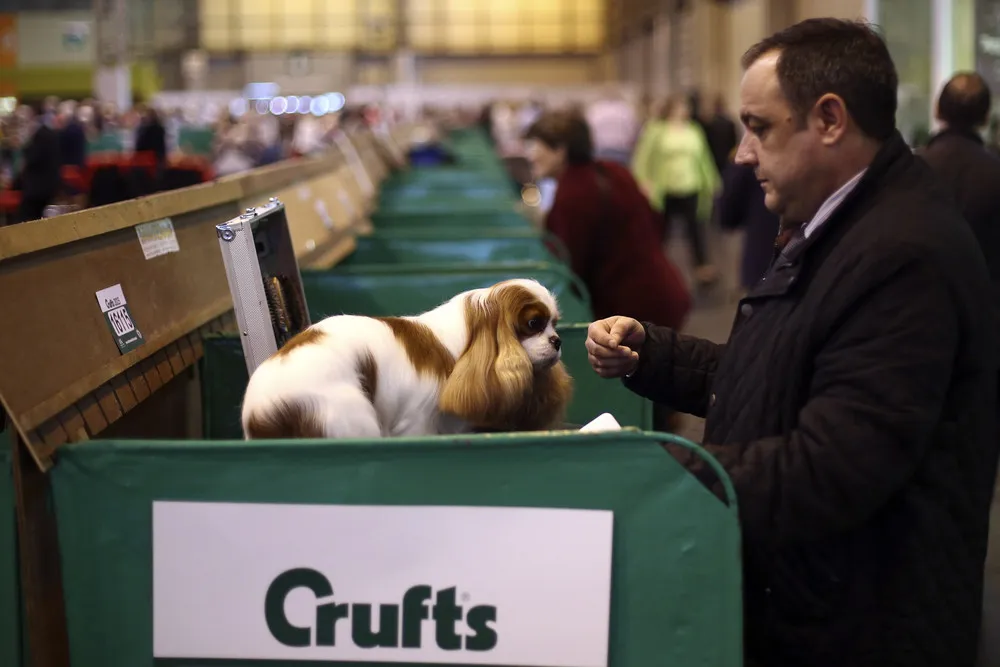 Crufts Dog Show in Birmingham, England