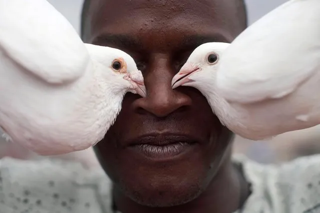 Pigeon fancier Yonisbel Santana poses for a photo at his rooftop in Havana, Cuba, May 18, 2021. Havana's pigeon keepers crane out of a window, intently watching the grey birds take flight. Mostly staying indoors due to the country's worst outbreak of COVID-19 since the coronavirus pandemic began in March last year, Cubans are increasingly breeding pigeons as a form of escape. (Photo by Alexandre Meneghini/Reuters)