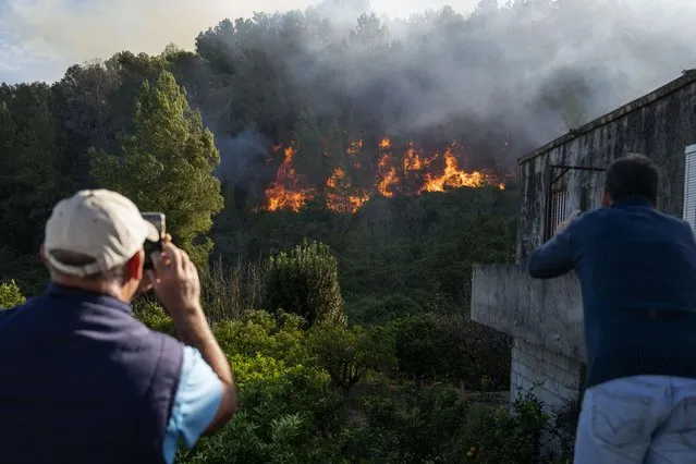 Villagers take photos as wildfire advances near the eastern town of Palma de Gandia in Valencia, Spain, Friday, November 3, 2023. A wildfire abetted by storm winds in eastern Spain has burned some 2,000 hectares (4,900 acres) of land and forced the evacuation of 850 people from four towns. Some 200 firefighters and army emergency unit soldiers were deployed Friday to try to extinguish the day-old blaze near the eastern town of Montitxelvo. (Photo by Andreu Esteban/AP Photo)