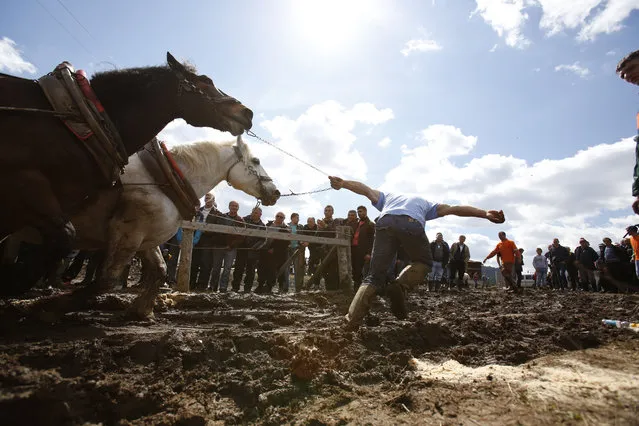 A Bosnian man urges his horses to pull logs up  a hill during a competition in the Bosnian town of Sokolac 50 kms west of Sarajevo, Bosnia,on Monday, April, 13, 2015. (Photo by Amel Emric/AP Photo)