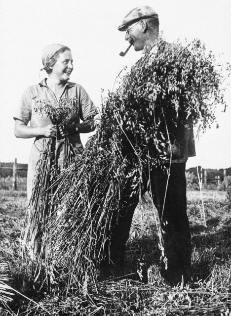 This smiling lass at work in the fields with a German peasant in Stettin, Germany on September 15, 1935, is one of 20,000 German girls trained during the last year by the Nazi government in its women's labor service. This girl, a member of camp Rothenklempenow, is helping harvest a field of oats. The camps are an unemployment measure, and house former stenographers, nurses, factory workers, students and shop girls, among others. (Photo by AP Photo)