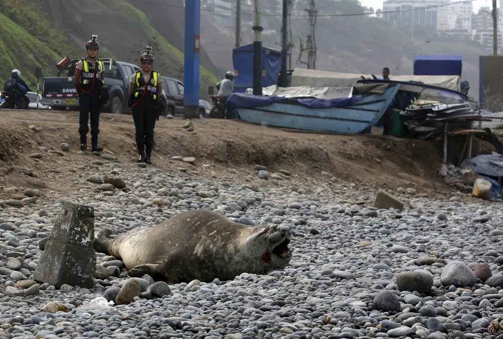 The Day in Photos – March 12, 2016