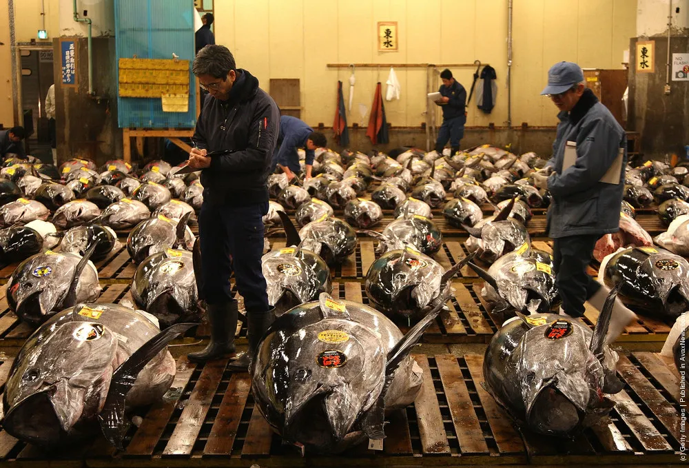 Tsukiji Fish Market