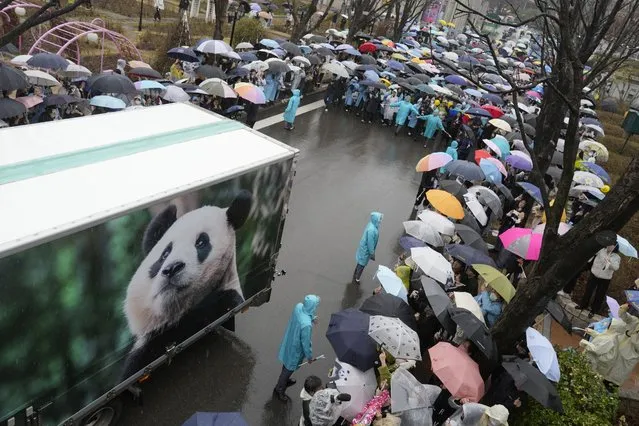 A vehicle carrying Fu Bao, the first giant panda born in South Korea, arrives for a farewell ceremony before Fu Bao is transferred to the airport for China at the Everland amusement park in Yongin, South Korea, Wednesday, April 3, 2024. (Photo by Lee Jin-man/AP Photo)