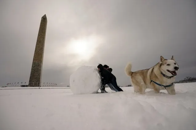 People push a huge snowball as a husky runs beside in front of the Washington Monument, in Washington, U.S., January 3, 2022. (Photo by Kevin Lamarque/Reuters)