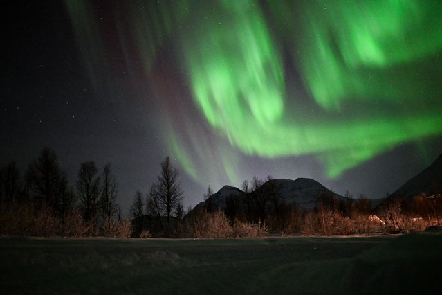 The northern lights (aurora borealis) illuminate the sky above a Sami camp outside the village of Breivikeidet near Tromso, Norway, beyond the Arctic Circle on January 1, 2024. (Photo by Sergei Gapon/AFP Photo)