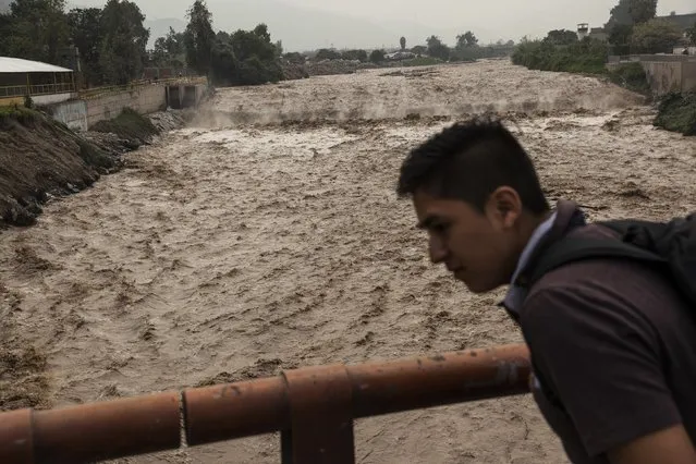 A man looks at the flow of the Huaycoloro river in Lima, Peru, Thursday, March 16, 2017. A new round of unusually heavy rains has killed at least a dozen people in Peru and now threatens flooding in the capital. Authorities said Thursday they expect the intense rains caused by the warming of surface waters in the eastern Pacific Ocean to continue another two weeks. (Photo by Rodrigo Abd/AP Photo)
