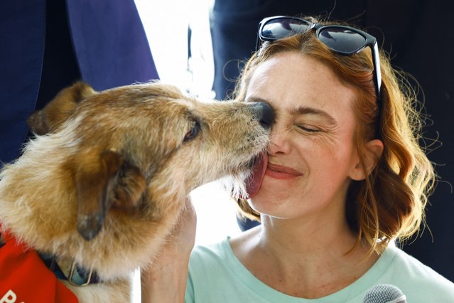 Kodi, the dog of the film “Le proces du chien” (Dog on Trial), winner of the Palm Dog, the award for the best canine performance, licks director Laetitia Dosch's face, during the 77th Cannes Film Festival in Cannes, France, on May 24, 2024. (Photo by Sarah Meyssonnier/Reuters)