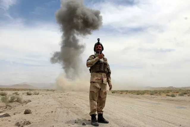 Haji Mohammad Zahir, an Afghan security official, detects and removes land mines planted by suspected militants in Kandahar, Afghanistan, 20 June 2019. Mohammad Zahir has removed almost 6,000 landmines in the last six years as an expert landmine removal officer in Afghan Police. Mohammad Zahir with limited tools and resources available does the job with perfection, however with proper gadgets and advance equipment he hopes to serve the country well. (Photo by Muhammad Sadiq/EPA/EFE)