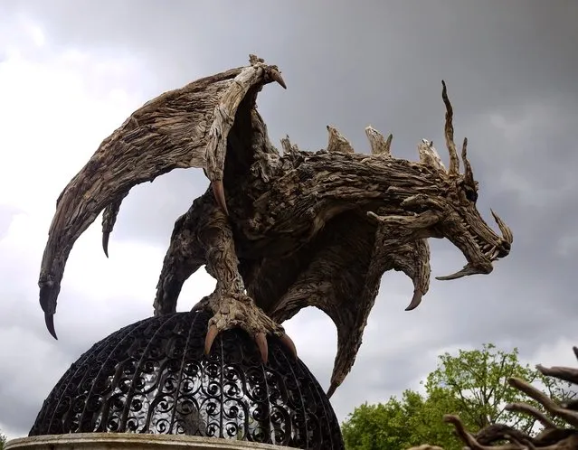 Driftwood Dragons Sculptures By James Doran