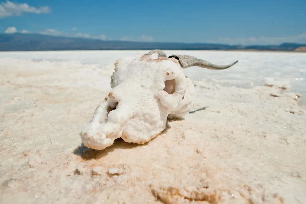 Lake Assal Crater Lake in the Central Djibouti