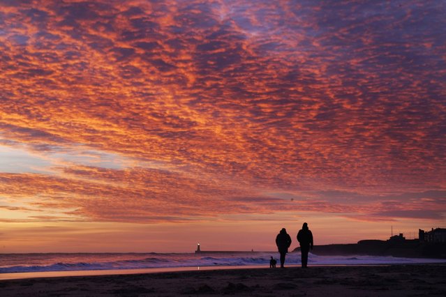 Dog walkers enjoy the early morning sunrise at Tynemouth Beach in North Tyneside, on the north east coast of England on Monday, February 7, 2022. (Photo by Owen Humphreys/PA Images via Getty Images)