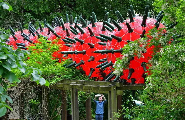 A man takes pictures of the art installation “Visitors” by artist Andre Tempel from Dresden at the Frommannsche Skulpturen garden in Jena, Germany, 31 May 2016. The installation is part of the exhibition “Crash, Boom, Bang!” which is open from 03 June to 07 July. (Photo by Martin Schutt/EPA)