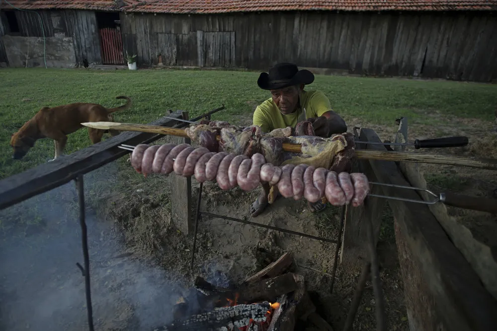 Brazilian Cowboys