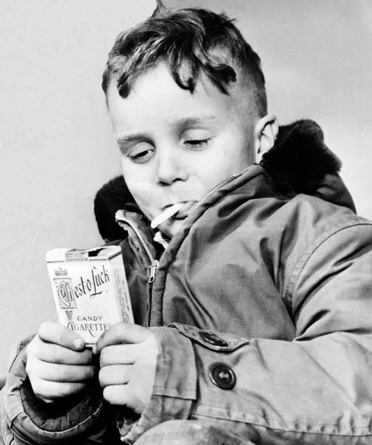 Michael Miller, 5, of Fargo, N.D., “puffs” on one of his last candy cigarettes, March 14, 1953.  North Dakota's governor signed a bill passed by the legislature forbidding the sale or possession of candy packaged to resemble cigarettes. The law is effective July 1.  Violation is punishable by a fine of up to $1,000 and 90 days in jail. (Photo by AP Photo)