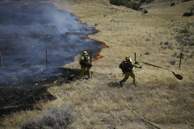 Firefighters prepare water hoses to battle a wildfire burning along Highway 178 near Lake Isabella, Calif., Friday, June 24, 2016. (Photo by Jae C. Hong/AP Photo)