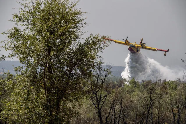 Fire fighting planes drop water to put out a forest blaze in Laarache, northern Morocco, Friday, July 15, 2022. Fires fanned by strong winds and extreme temperatures have spread across hundred of hectares in North Africa since Thursday evening. (Photo by AP Photo/Stringer)