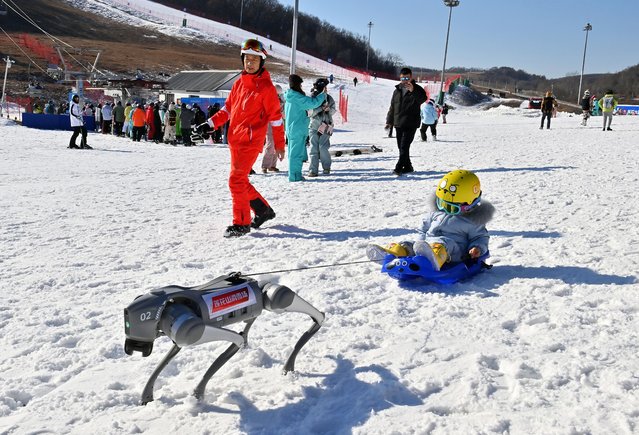 A child enjoys robot dog sled at Lianhua Mountain Ski Resort on November 22, 2024 in Changchun, Jilin Province of China. In addition to interacting with tourists, robotic dogs also take on jobs including transporting objects, emergency aid, and patrols. (Photo by Zhang Yao/China News Service/VCG via Getty Images)