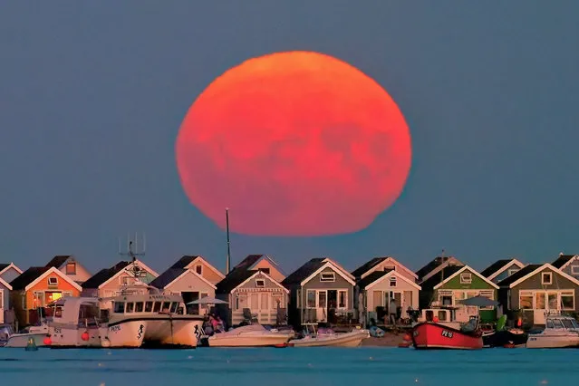 The Sturgeon Supermoon rising over the beach huts in Mudeford, Dorset, captured last night, August 12, 2022 by photographer Gary Jacobs. (Photo by GaryJacobs/Bournemouth News)