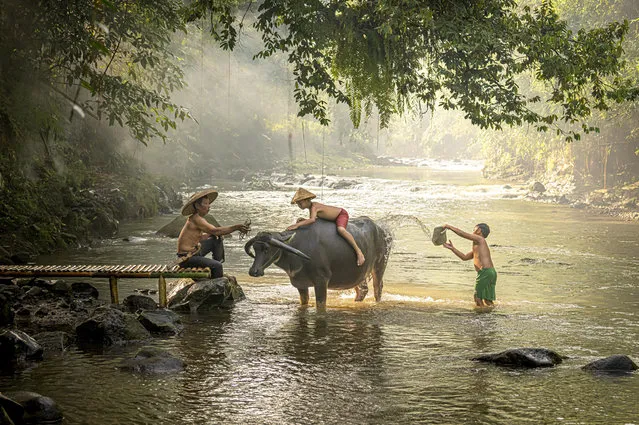 Children in Bogor, Indonesia, play in the water as they wash a buffalo in August 2022. (Photo by Erwin Gucci/Solent News)