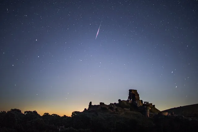 A Perseid Meteor flashes across the night sky above Corfe Castle on August 12, 2016 in Corfe Castle, United Kingdom. The Perseids meteor shower occurs every year when the Earth passes through the cloud of debris left by Comet Swift-Tuttle, and appear to radiate from the constellation Perseus in the north eastern sky. (Photo by Dan Kitwood/Getty Images)
