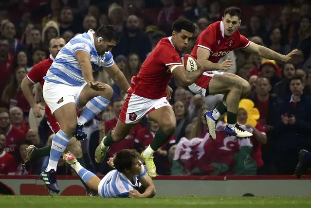 Wales' Rio Dyer, middle, jumps over Argentina's Gonzalo Bertranou, and avoids a tackle during the rugby union international match between Wales and Argentina at the Principality Stadium in Cardiff Wales, Saturday, November 12, 2022. (Photo by Rui Vieira/AP Photo)