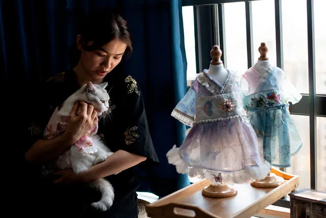 This photo taken on August 13, 2020, shows Wu Qiuqiao holding her cat Liu Liu at her house in Changsha China's central Hunan province. (Photo by Noel Celis/AFP Photo)